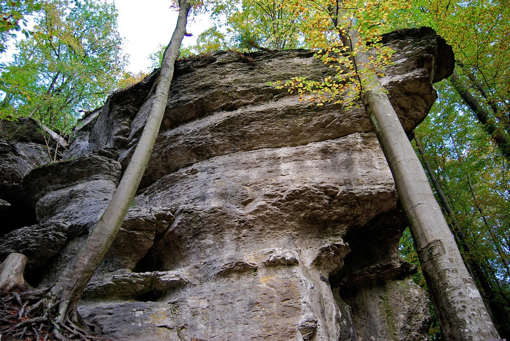 Der Geldstein-Felsen im Wildpark weiß auch ohne Bares...
