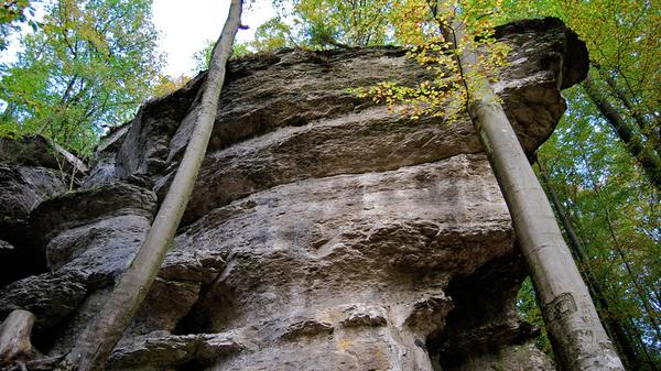 Der Geldstein-Felsen im Wildpark weiß auch ohne Bares...