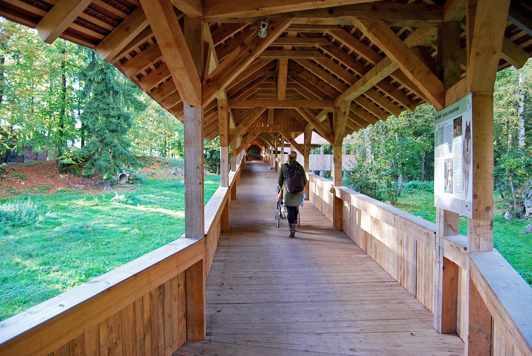 Das Wolfs-Gehege ist aus Sicherheitsgründen nur auf einer hölzernen Überführung zu bestaunen - auch, wenn sich die Raubtiere selten den neugierigen Augen der Besucher stellen.