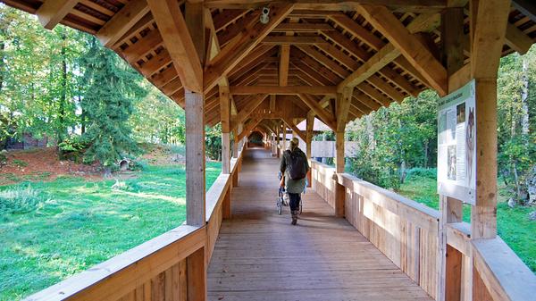 Das Wolfs-Gehege ist aus Sicherheitsgründen nur auf einer hölzernen Überführung zu bestaunen - auch, wenn sich die Raubtiere selten den neugierigen Augen der Besucher stellen.