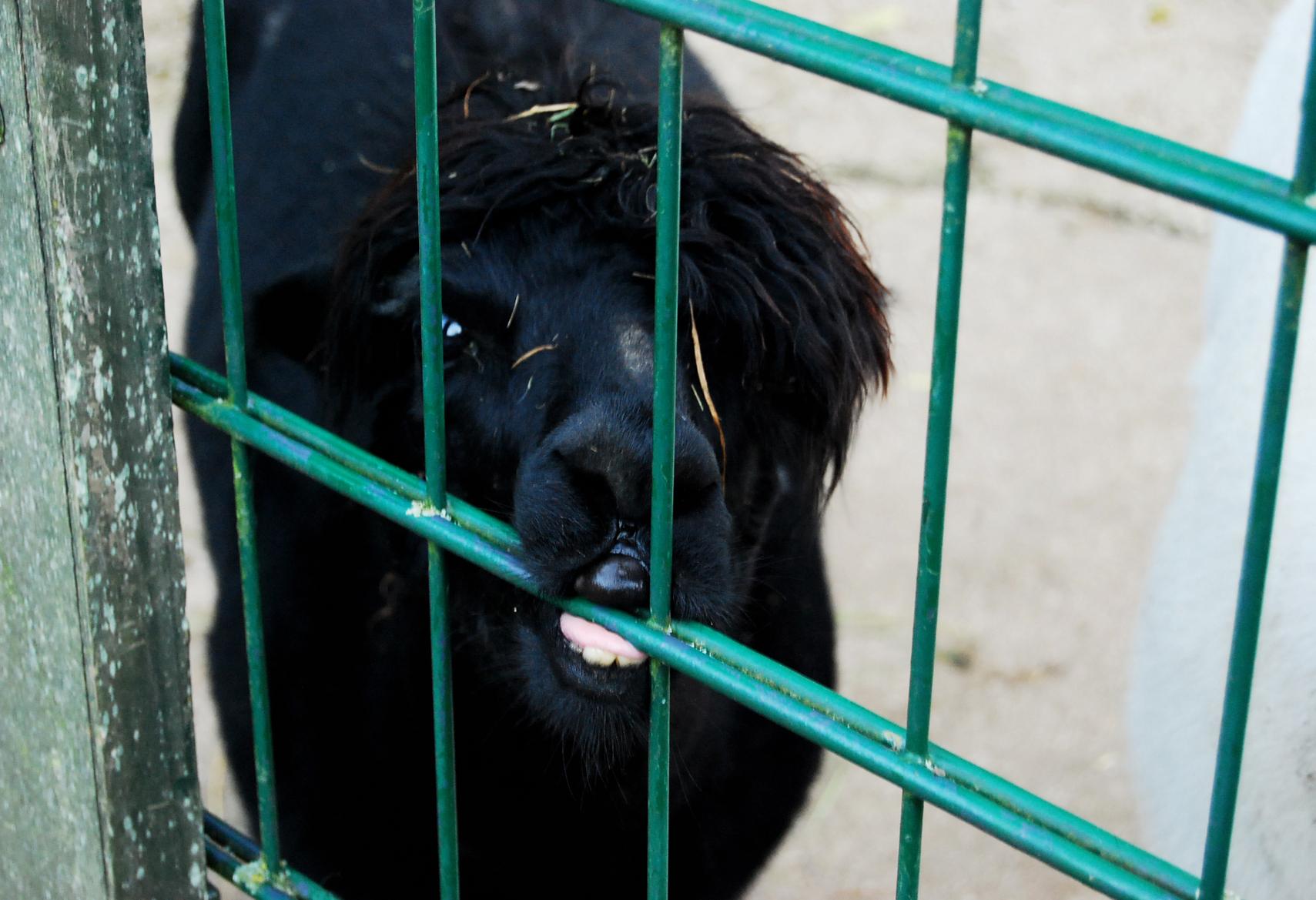 ...auch gar nicht nötig.