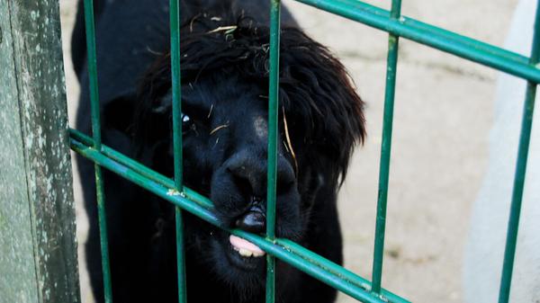 ...auch gar nicht nötig.