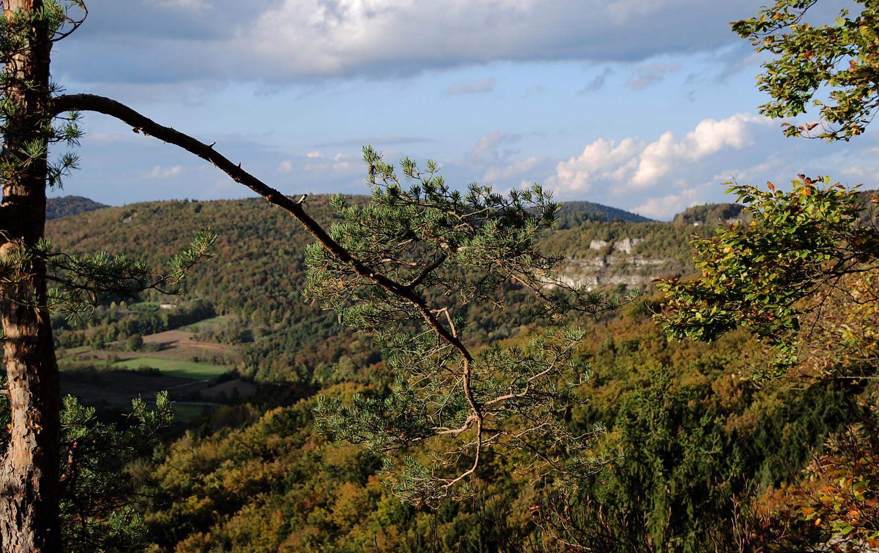 ...einen Panoramablick über Teile der Fränkischen Schweiz genießen.