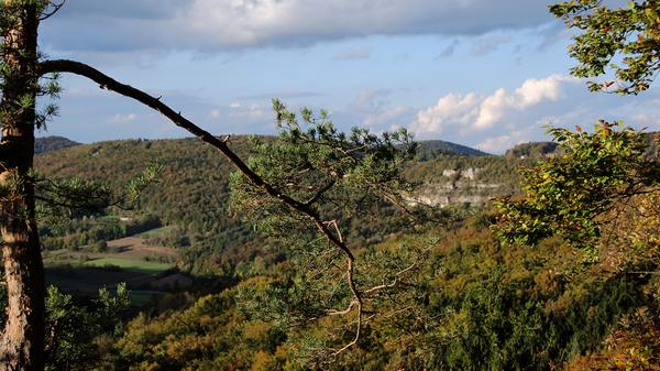 ...einen Panoramablick über Teile der Fränkischen Schweiz genießen.