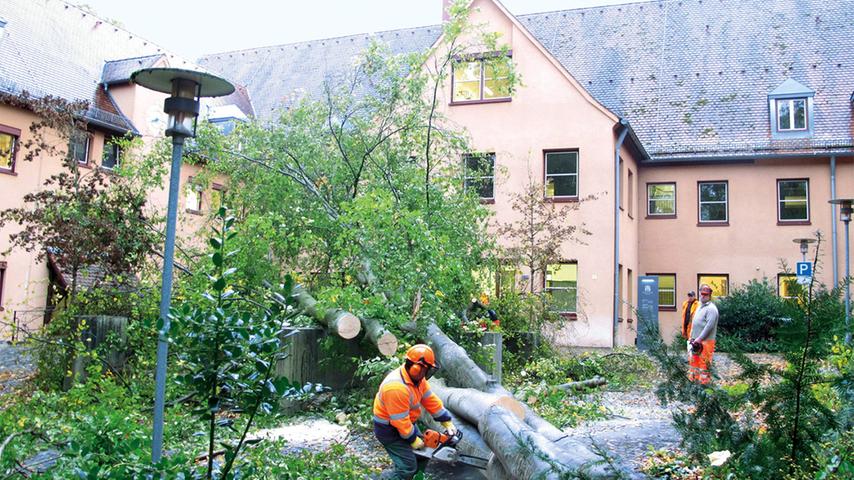 Umgekippte Bäume, gekappte Stromleitungen: In der gesamten Region (wie hier vor dem Landratsamt in Roth) hat der Herbststurm "Gonzalo" erhebliche Schäden angerichtet. Wir haben den Überblick in Bildern.