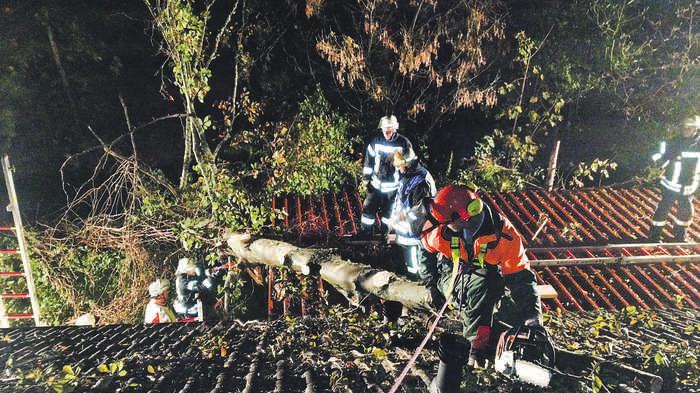 Herbststurm hält Feuerwehren im Nürnberger Land auf Trab