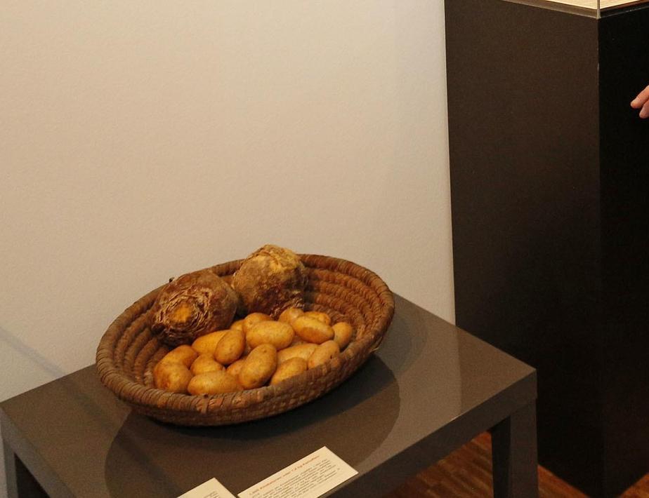 Museumschef Martin Schramm neben einer Schale mit Kartoffeln und Steckrü­ben in der aktuellen Ausstellung.