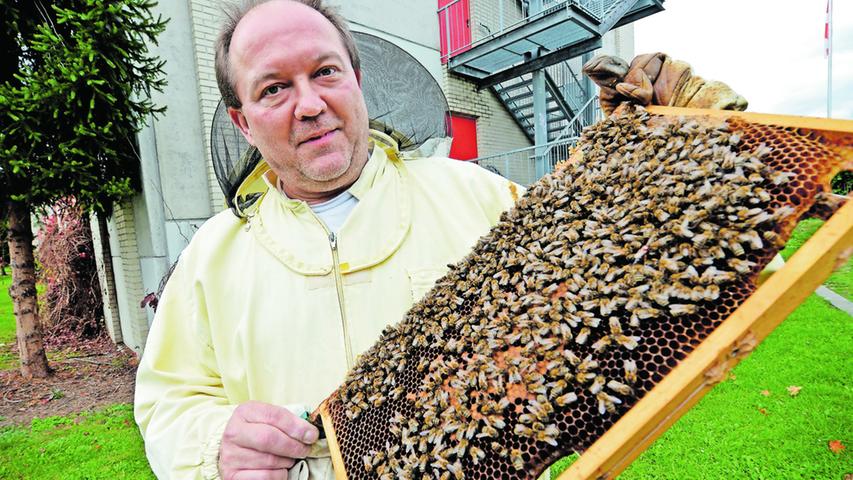 Bienenhaltung in der Stadt ist zum Modetrend geworden. Auch Imker Johannes Bermüller (53) lässt seine Tiere ausschließlich im Stadtgebiet von Nürnberg fliegen. Mit dem „Nürnberger Stadthonig“ hat er ein eigenes Label kreiert, das er offensiv vermarktet. Von der Hobby-Imkerei auf Balkon oder Terrasse rät der Profi allerdings ab.