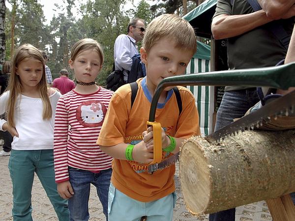 Spenden heilen die Sparwunden