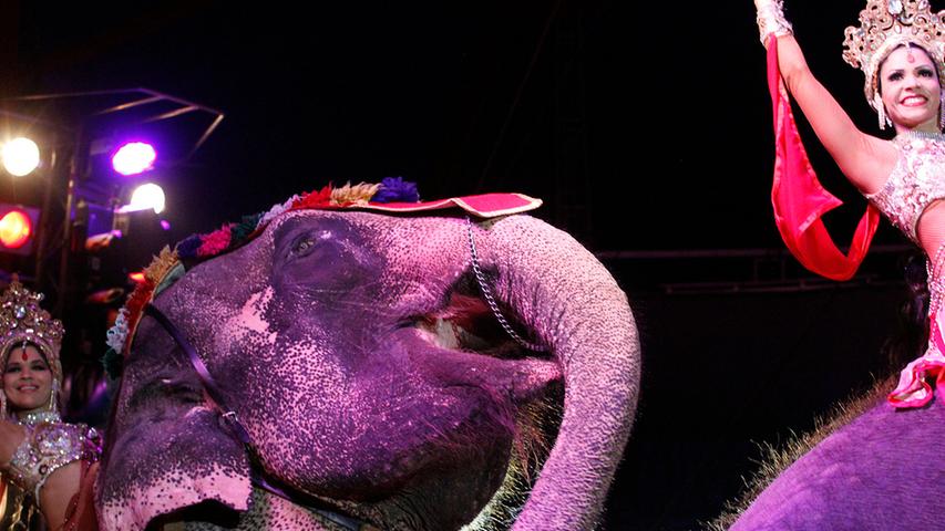 Die Wappentiere des Circus Krone beweisen als Musicalstars ein weiteres Mal, dass sie zurecht zu den stärksten Elementen der Show zählen.
