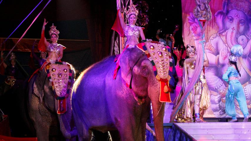 Majestätisch schreiten die Elefanten in die Manege. Nürnberg ist in diesem Jahr die letzte Station für Krone auf der Tournee durch 25 deutsche Städte.