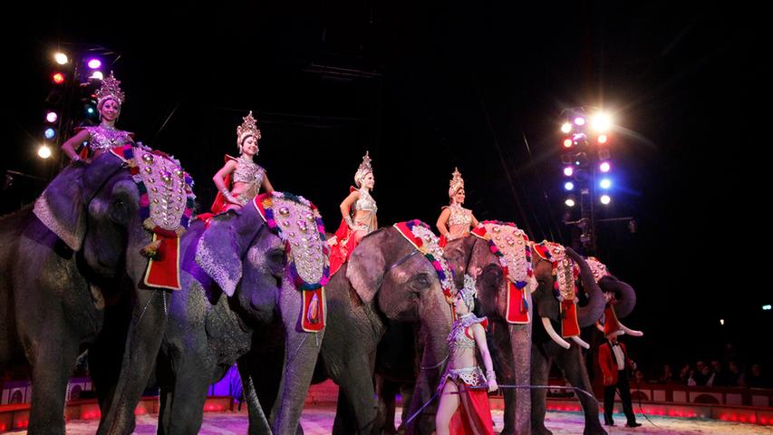 Sieben Elefanten mit zwei Dompteuren in der Manege. Auf dem Rücken der grauen Riesen bewahren die Darstellerinnen Haltung.