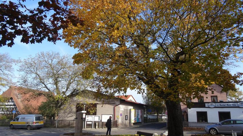 Im Schwaiger Ortsteil Malmsbach sorgte der alte knorrige Baum am Brunnen für einen bunten Laubteppich.