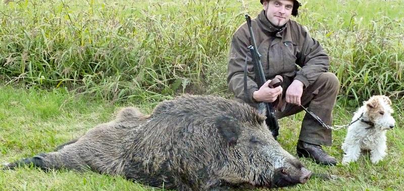 Jäger erlegt 170 Kilogramm schweres Wildschwein