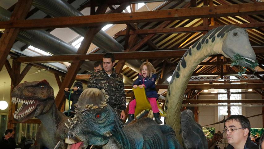 Reise in die Vergangenheit: Dinos in der kleinen Jurahalle