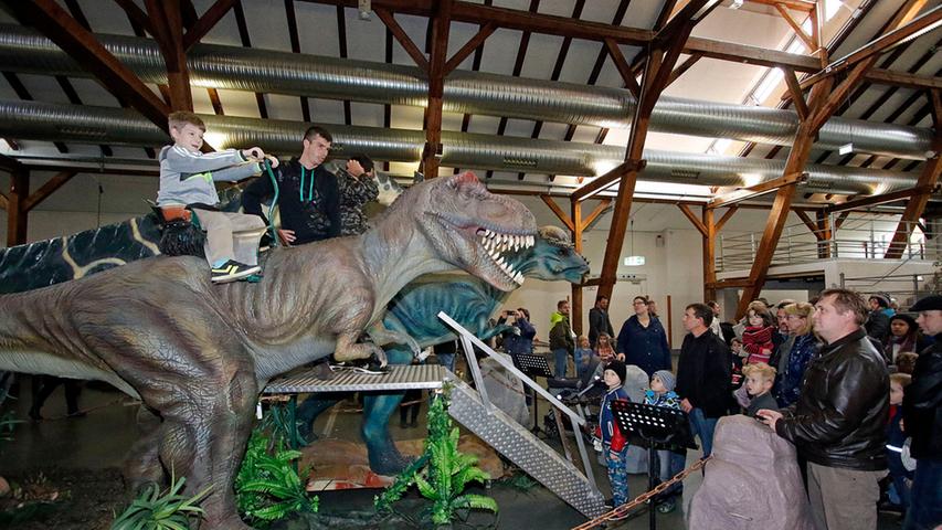 Reise in die Vergangenheit: Dinos in der kleinen Jurahalle