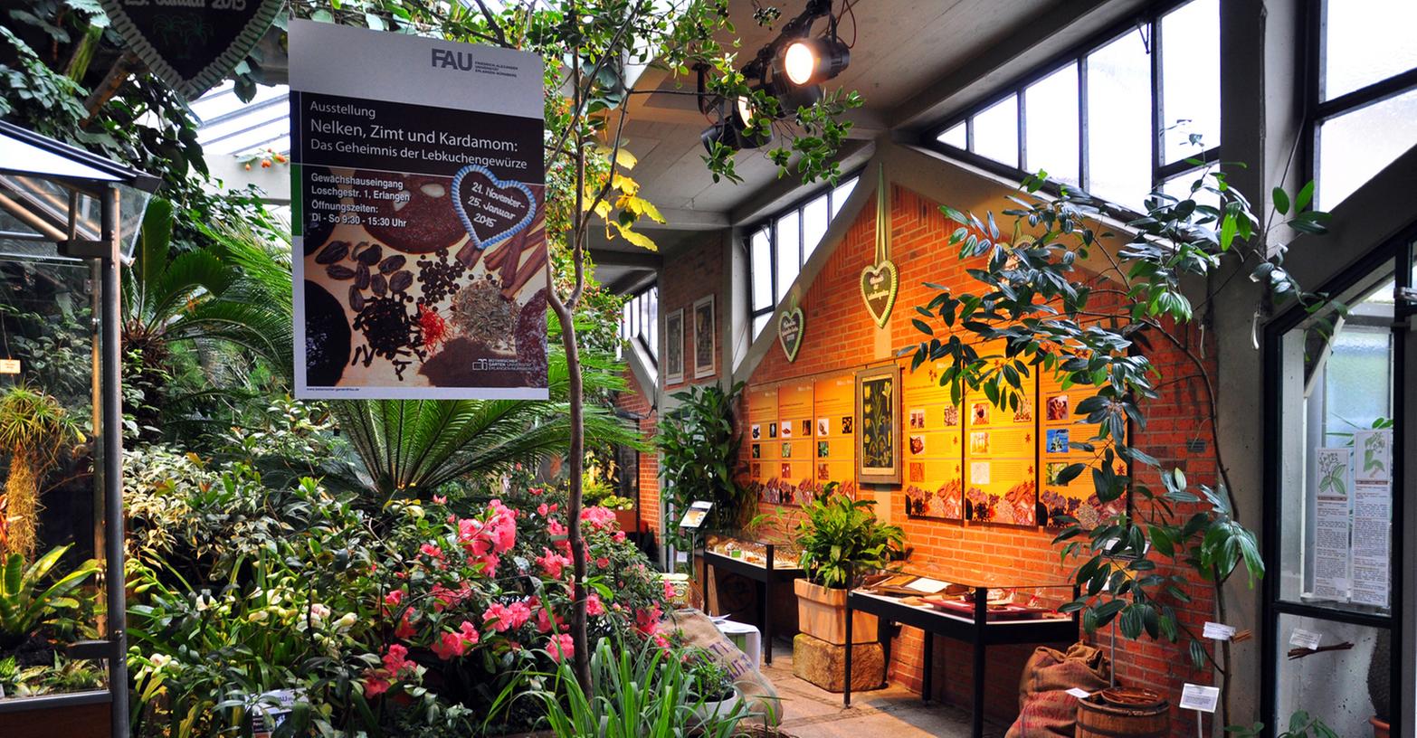 Die Ausstellung "Nelken, Zimt und Kardamom" im Botanischen Garten in Erlangen verrät so manches über geheimnisvolle Düfte aus aller Welt.