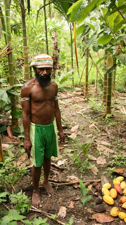 Ein Kakaobauer bei seiner Arbeit im indonesischen Dschungel der Provinz Papua.