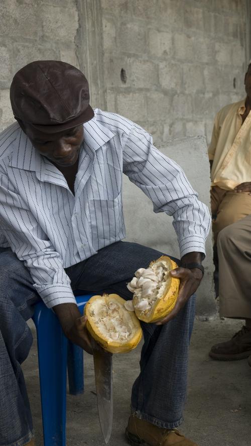 Ein Bewohner der ecuadorianischen Provinz Esmeraldas bewundert das Fruchtfleisch mitsamt Kakaobohnen einer soeben geöffneten Kakaofrucht.