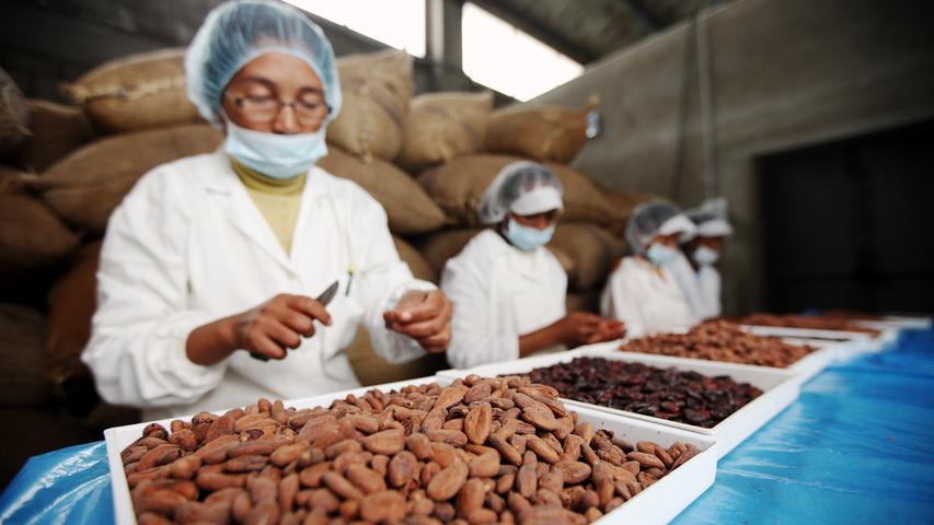 Bis 2011 produzierte die madagassische Manufaktur ihre Schokoladen für ein US-Unternehmen, das die Produkte unter dem Namen Madécasse vertrieb. Dann führte Cinagra auch ihre eigene Marke ein und ist seitdem vor allem auf dem europäischen Markt besser als Menakao bekannt.