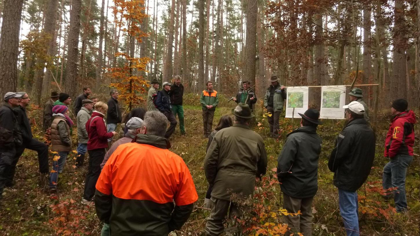„Zukunftswald Rohr“: Bayerns größtes Waldumbauprojekt