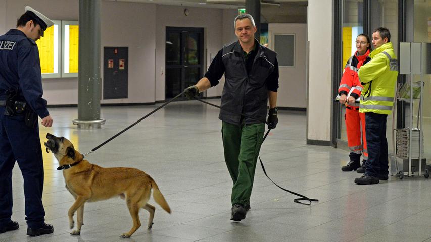 "Der Suchhund hat bestimmte Komponenten einer Bombe erkannt", sagte ein Diensthundeführer.
