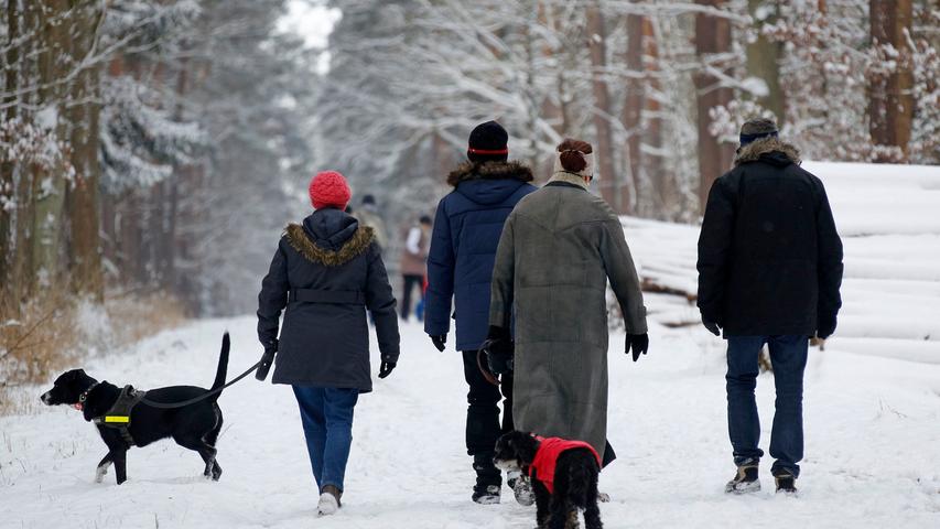 Nachdem der Weg freigeräumt war, ging es in Herzogenaurach mit Hund und Schlitten in den Wald, um den Neuschnee mit der Familie zu genießen. Mehr winterliche Bilder aus Herzogenaurach.