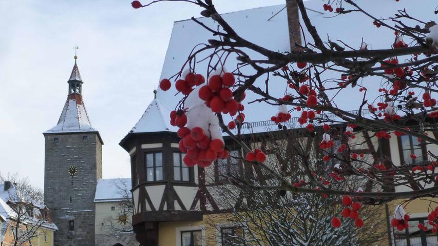 Es begann mit ein paar Flocken, dann war ganz Neustadt in ein weißes Kleid gehüllt. Weihnachtsschmuck und die historische Altstadt erstrahlen in winterlicher Pracht. Mehr Bilder aus dem verschneiten Neustadt.