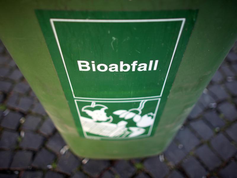 Ab_Januar_ist_die_Biotonne_Pflicht_urn-newsml-dpa-com-20090101-141229-99-00995_large_4_3.jpg
