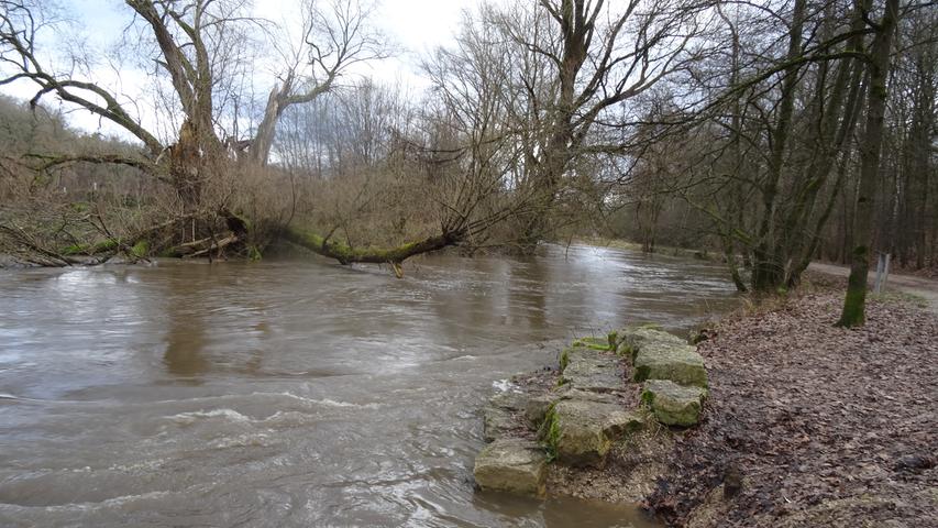 Die Pegnitz am Samstagmittag in Höhe Laufamholz: Der Fluss tritt schon beinahe über die Ufer.