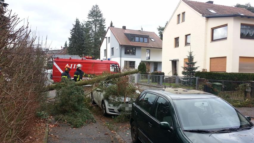 In Erlangen stürzte ein Baum in der Rennesstraße auf ein Auto, auch hier wurde niemand verletzt.