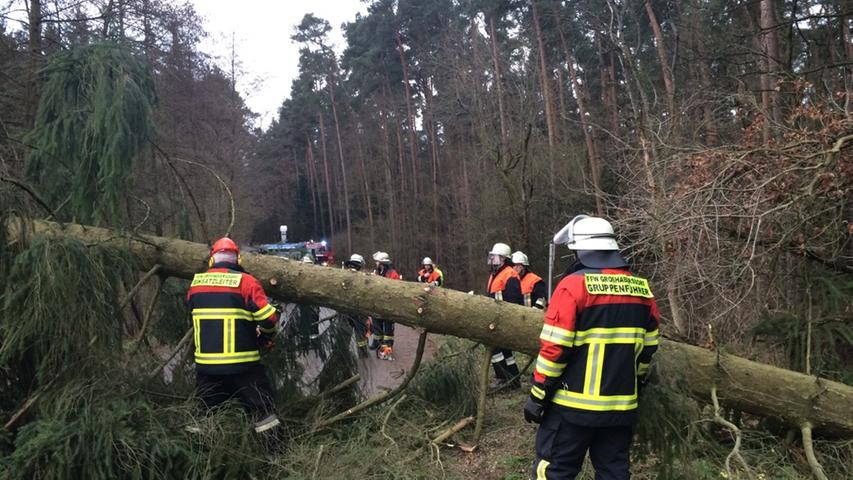 Sturm in Franken: Entwurzelte Bäume und abgedeckte Dächer