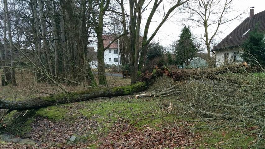Ein etwa 35cm starker Baum fiel am Samstagnachmittag aufgrund der starken Sturmböen auf die ST2240 in Richtung Neunkirchen am Brand.