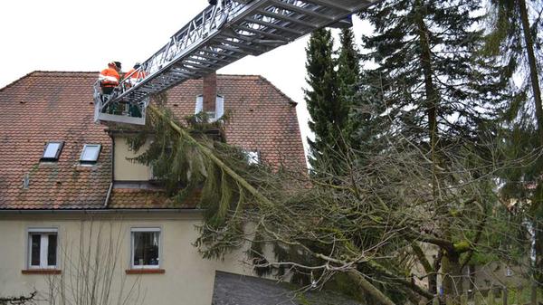 Einsätze der verschiedensten Art mussten die Feuerwehren der Region, wie etwa hier in Pegnitz, abarbeiten.