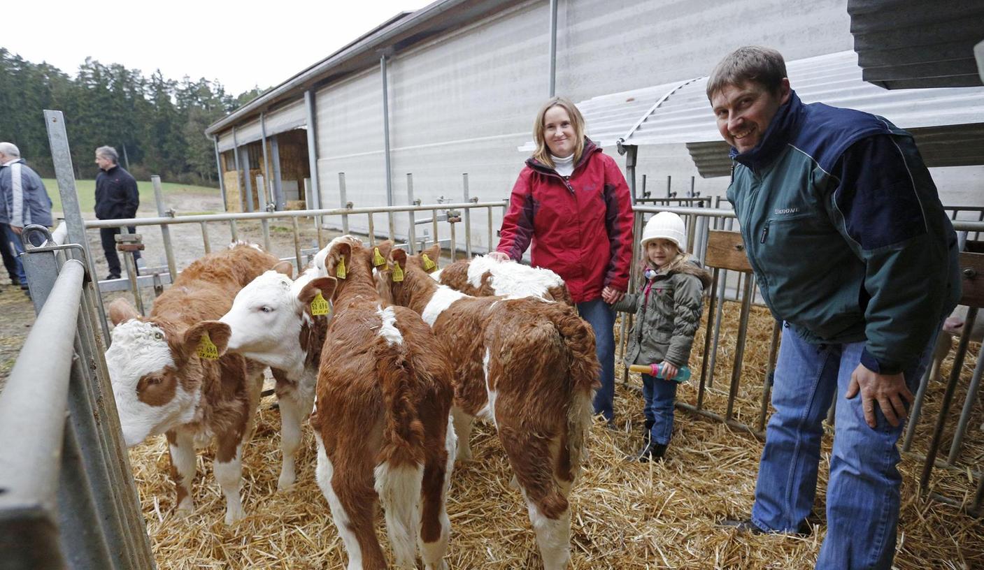 Laubendorf: Tierkomfort, Kuhflüsterer und Kinderbesuch am Hof