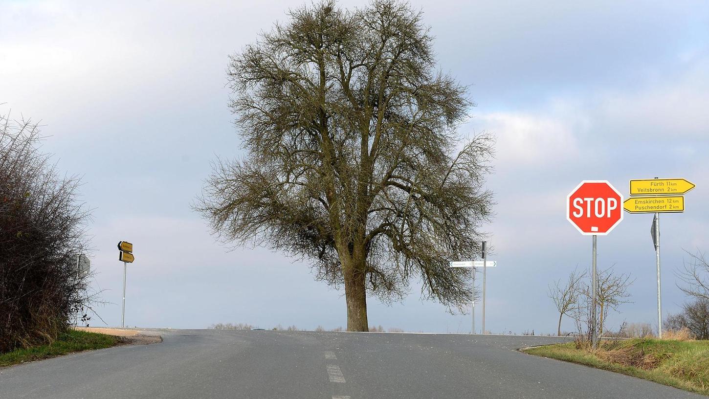 Straße kontra Baum im Landkreis Fürth
