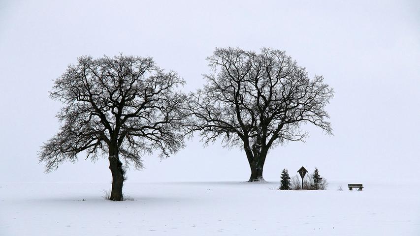 Schnee, Schnee, Schnee: Weiße Decke im Landkreis Neumarkt