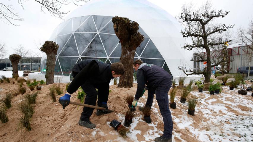 Das diesjährige Gastland der Biofach, die Niederlande, haben ein Zelt mitgebracht – den "Ecodome". Davor wird eine Dünenlandschaft aufgebaut.