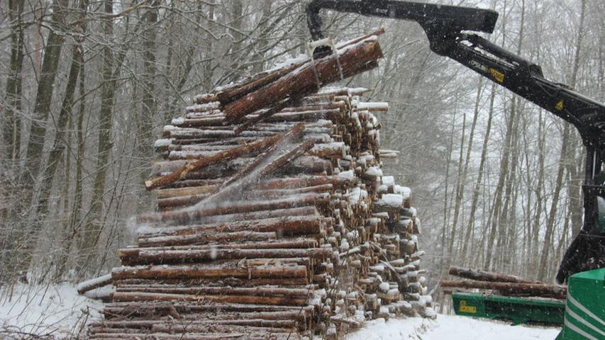 Ein Haufen Holz: Hackschnitzel aus dem Staatswald 