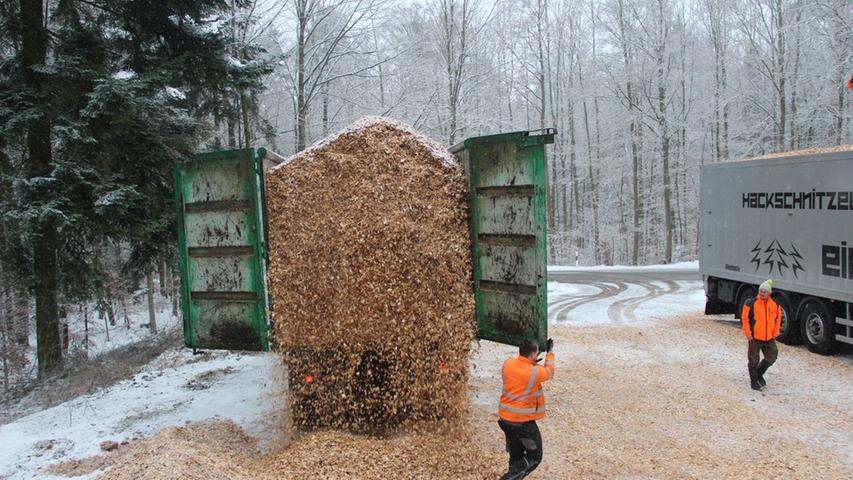 Ein Haufen Holz: Hackschnitzel aus dem Staatswald 