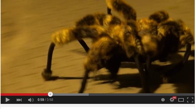Das meistgeklickte Video im vergangenen Jahr zeigt einen als Spinne verkleideten Hund, der Passanten erschreckt.  Hier geht es zum Clip...