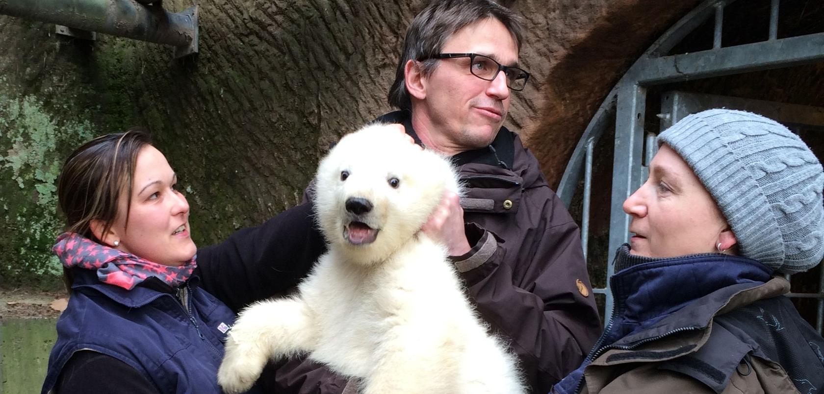 Eisbären-Baby im Tiergarten heißt Charlotte