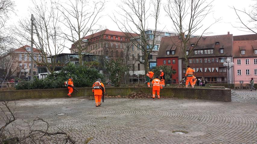 Platz für Neues - Sör fällt Bäume in Nürnberg