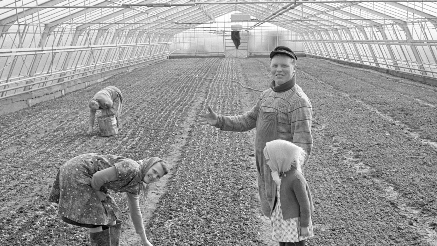 18. März 1965: Bauern ackern auf neuen Fluren