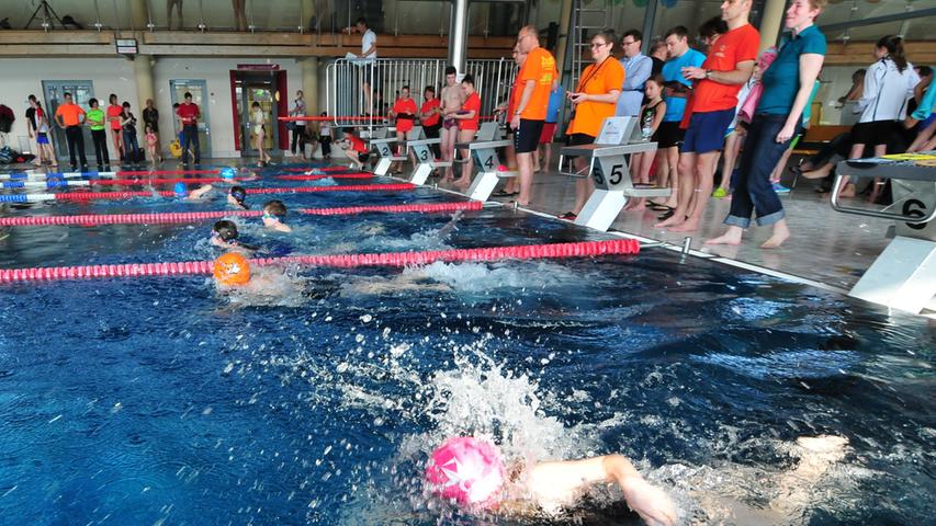 Swim and Run: Starke Athleten kämpften um den Sieg