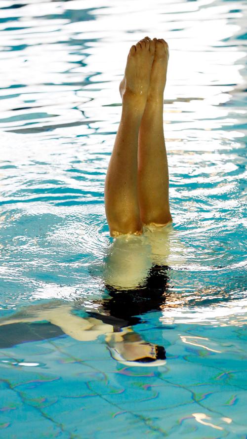 Ballett unter Wasser: NorisNixen gleiten elegant durch das Nass 
