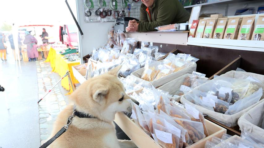 Frühlingsgefühle trotz Hundewetter: Verkaufsoffener Sonntag in  Neumarkt