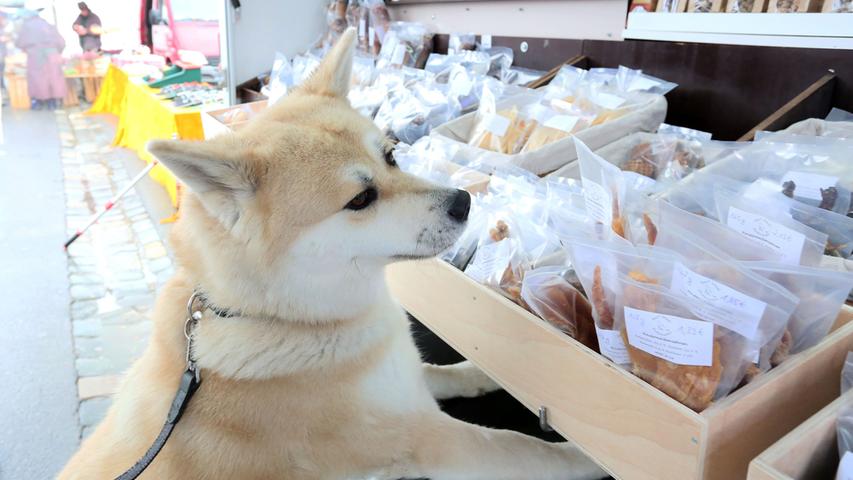 Frühlingsgefühle trotz Hundewetter: Verkaufsoffener Sonntag in  Neumarkt