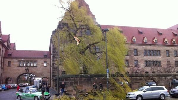Heftig fegte der Orkan auch über die Fürther Straße in Nürnberg hinweg. Vor dem Justizpalast wurde die alte Trauerweide gespalten - Äste krachten auf den Gehweg und auch auf ein Auto.