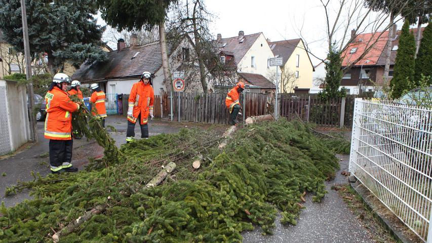 An der Schopenhauer Straße in Nürnberg stürzte ein Baum durch den starken Wind auf die Straße.